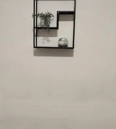 Damir 普拉